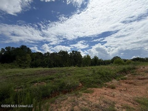 LAND - Byhalia, MS