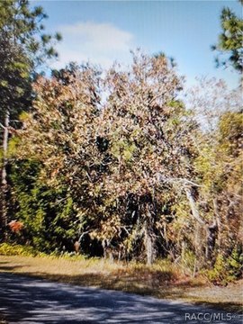 Land, Homosassa, FL