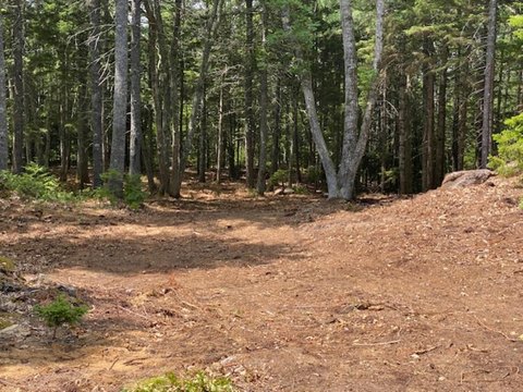 LAND - Bristol, ME