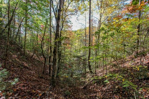 Unrestricted Land in Bryson City