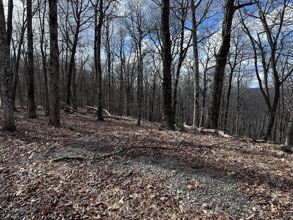 Picture 19