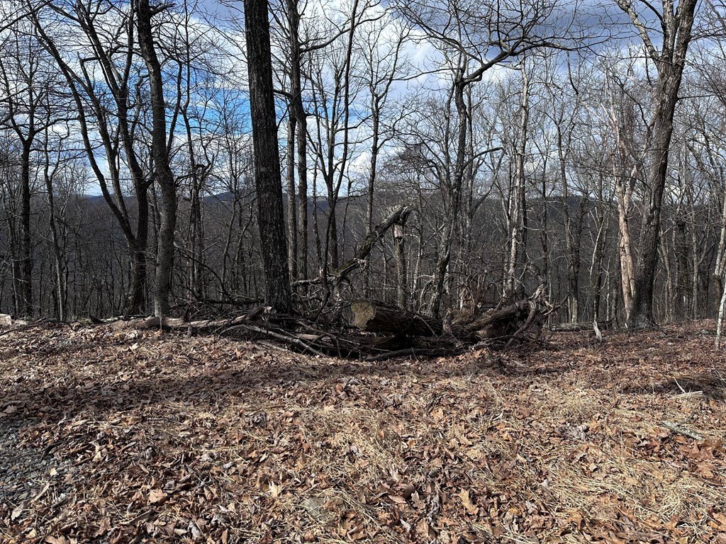Picture 17