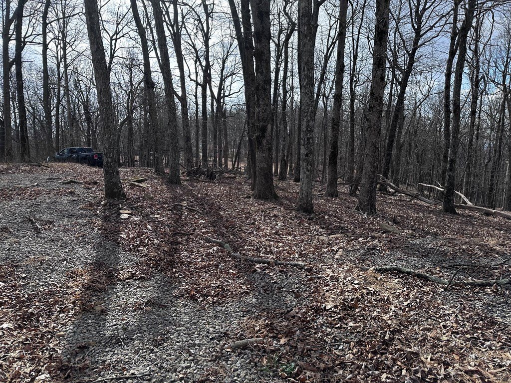 Picture 21