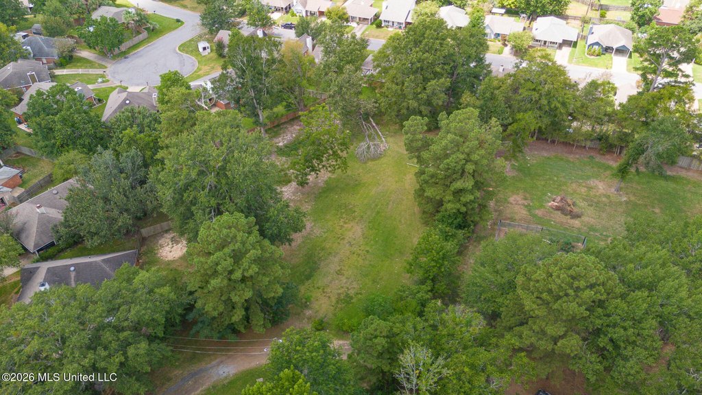 Picture 15
