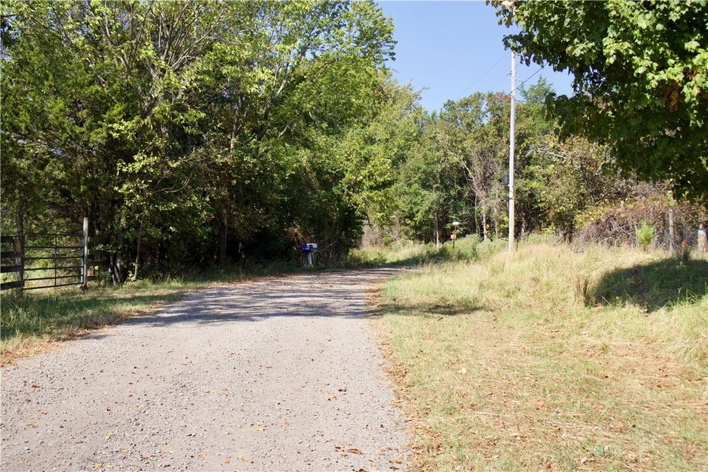 Picture 15