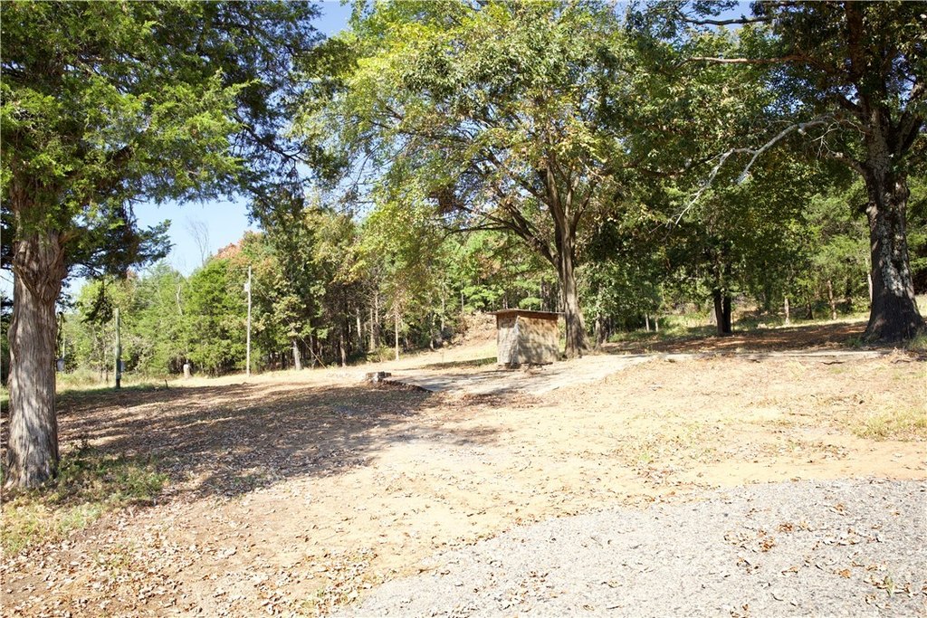 Picture 19