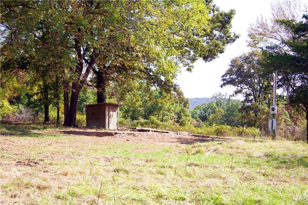 Picture 31
