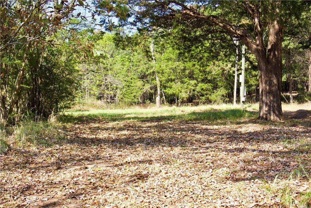 Picture 42