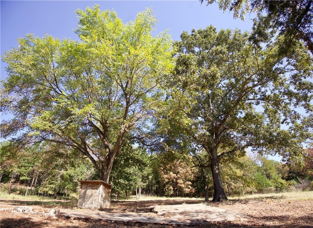Picture 40