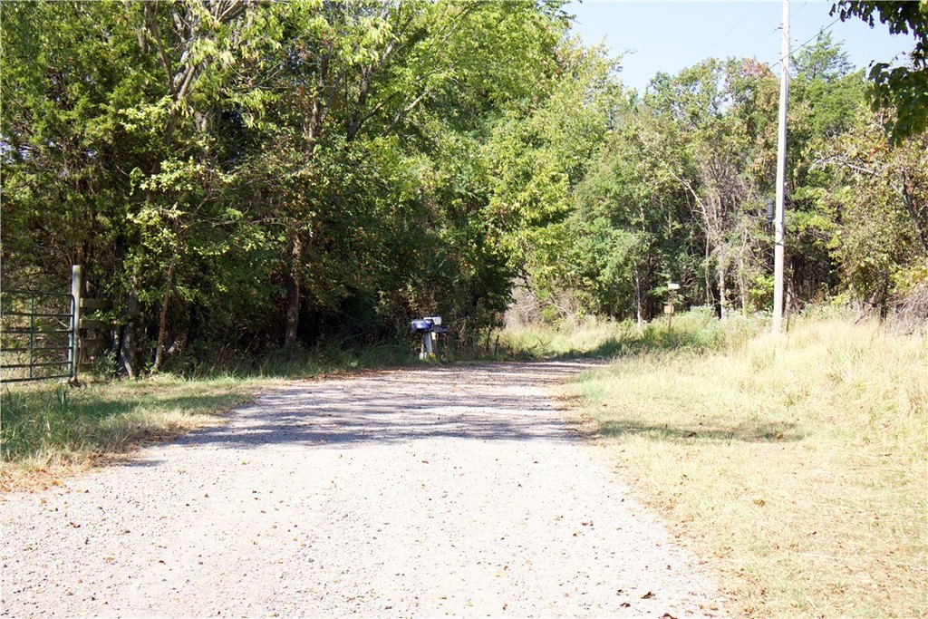 Picture 45