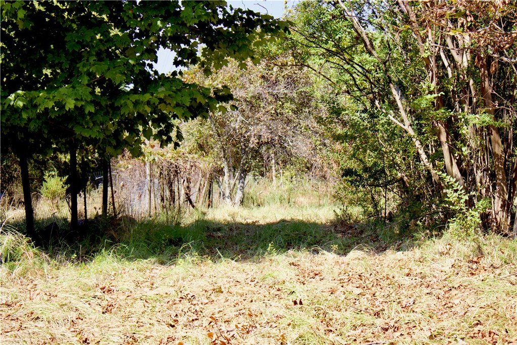Picture 44