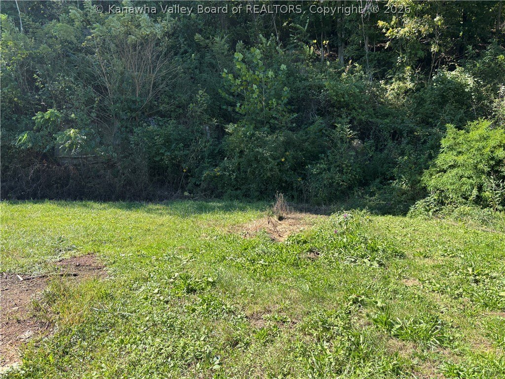 Picture 3