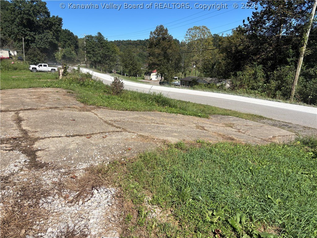 Picture 8