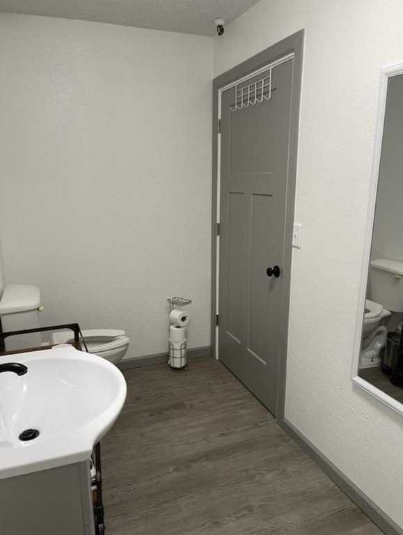 Picture 15