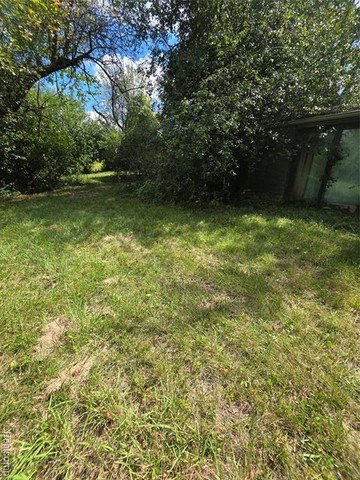 Picture 3