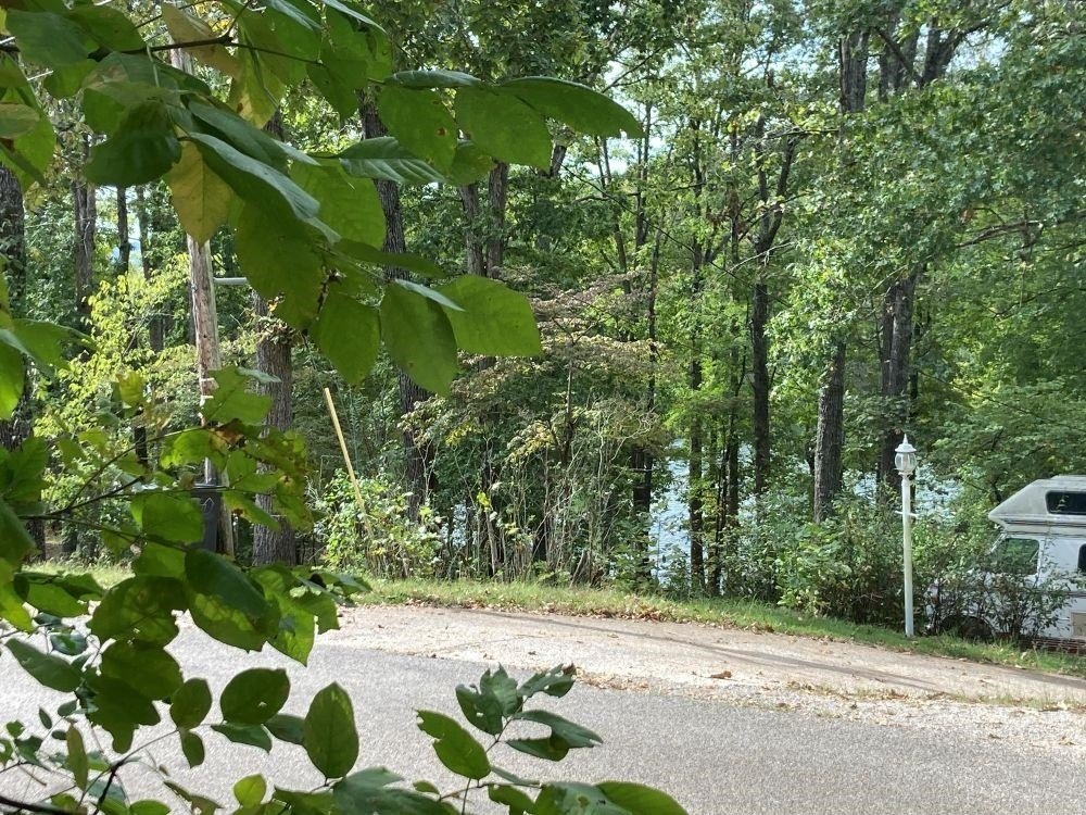 Picture 3