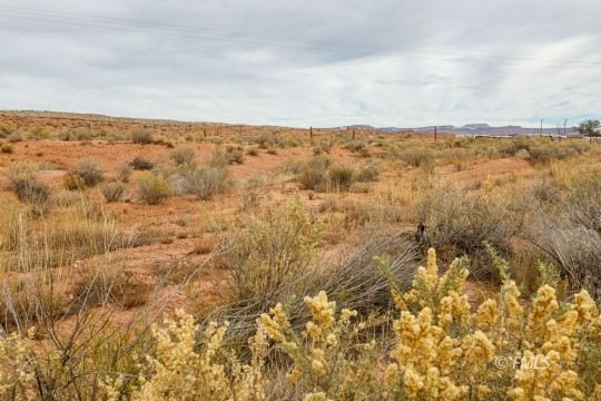 Picture 12