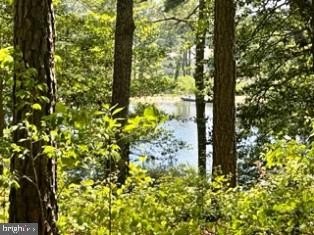 Eastern Shore Land Opportunity