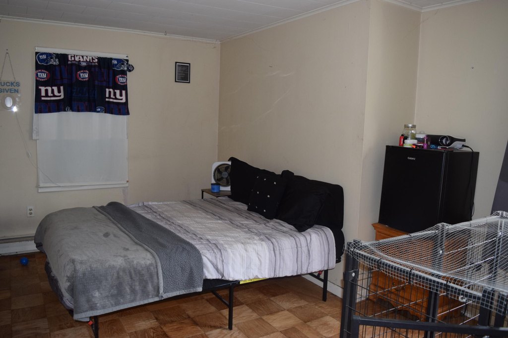 Picture 14