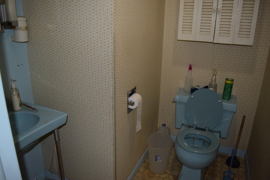 Picture 13