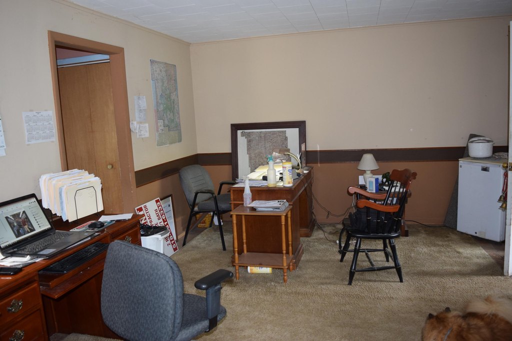 Picture 12