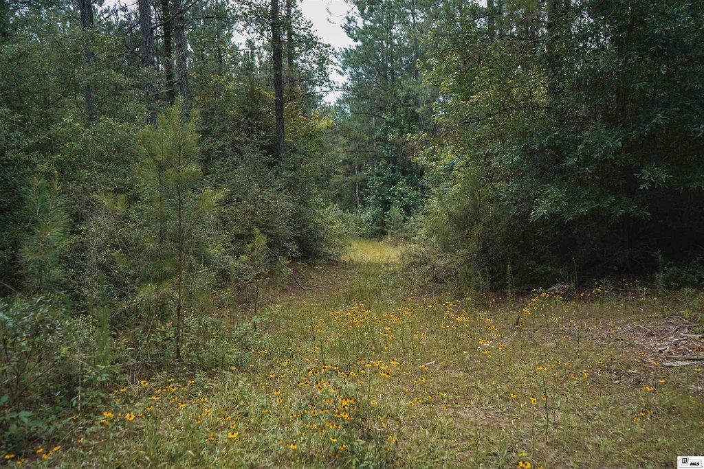 Picture 14