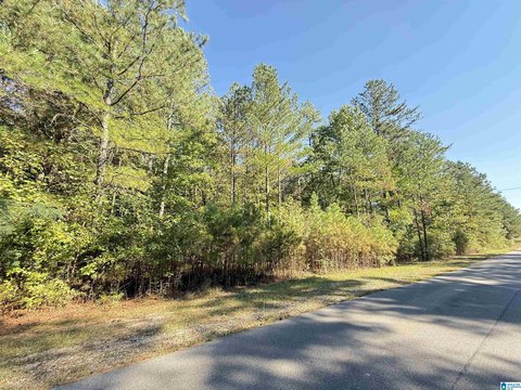 Level Half Acre Home Site