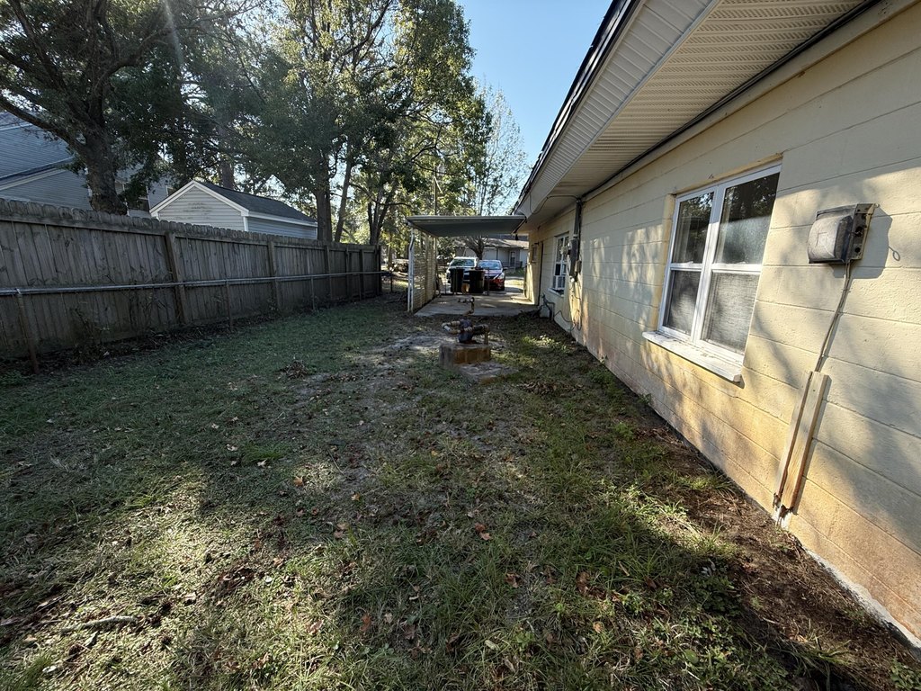 Picture 21