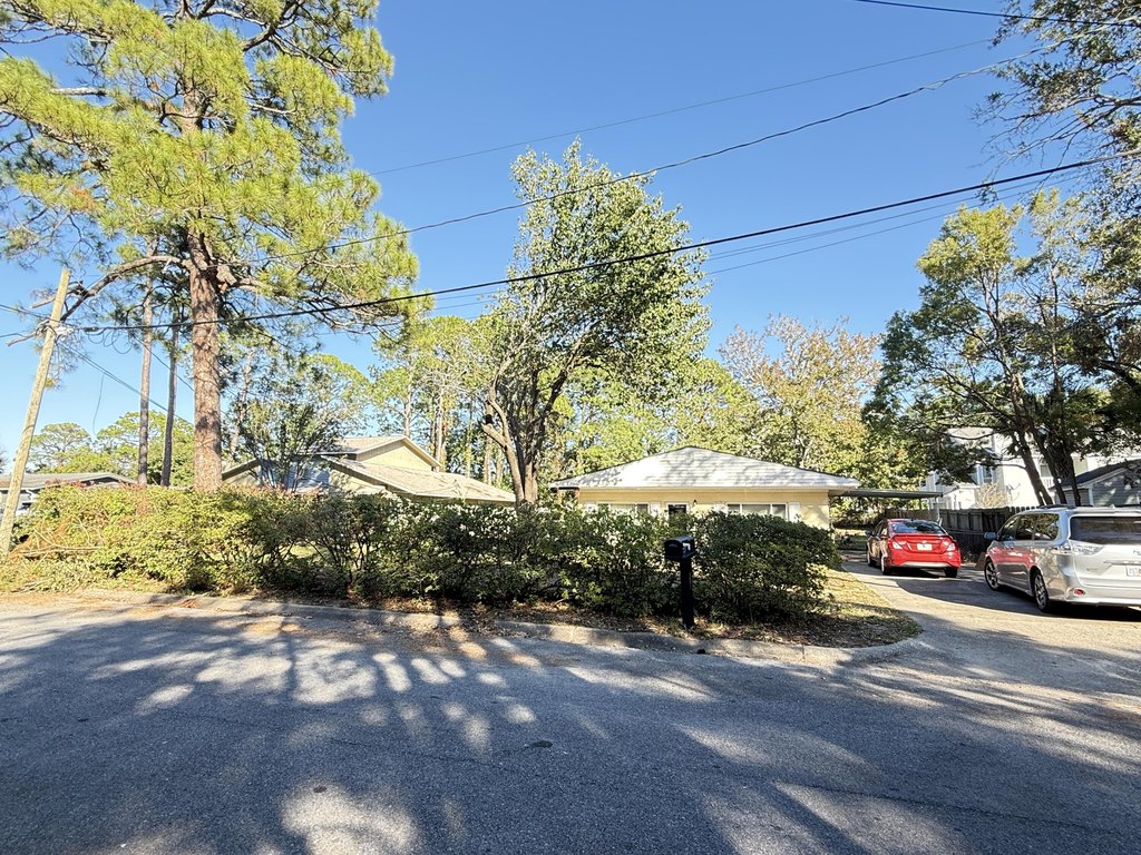 Picture 23