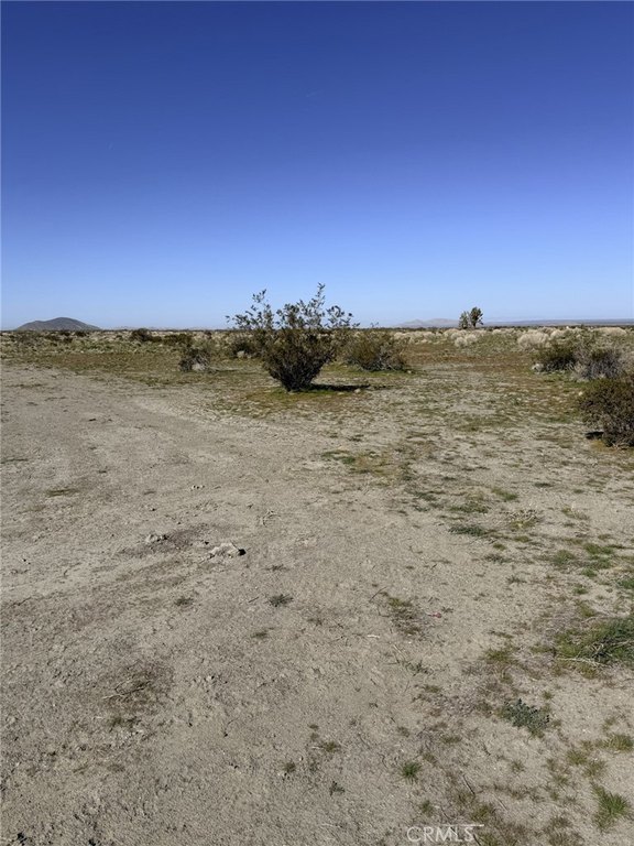 Picture 9