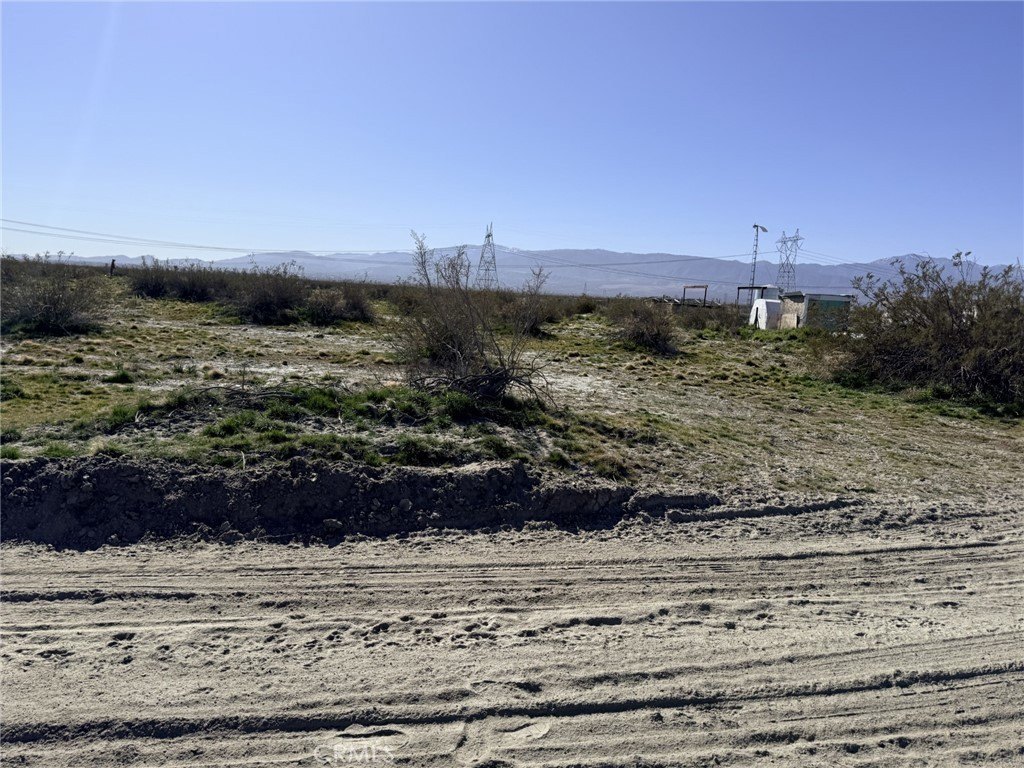 Picture 2