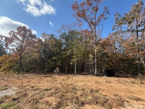 Residential Land in Greenbrier, AR
