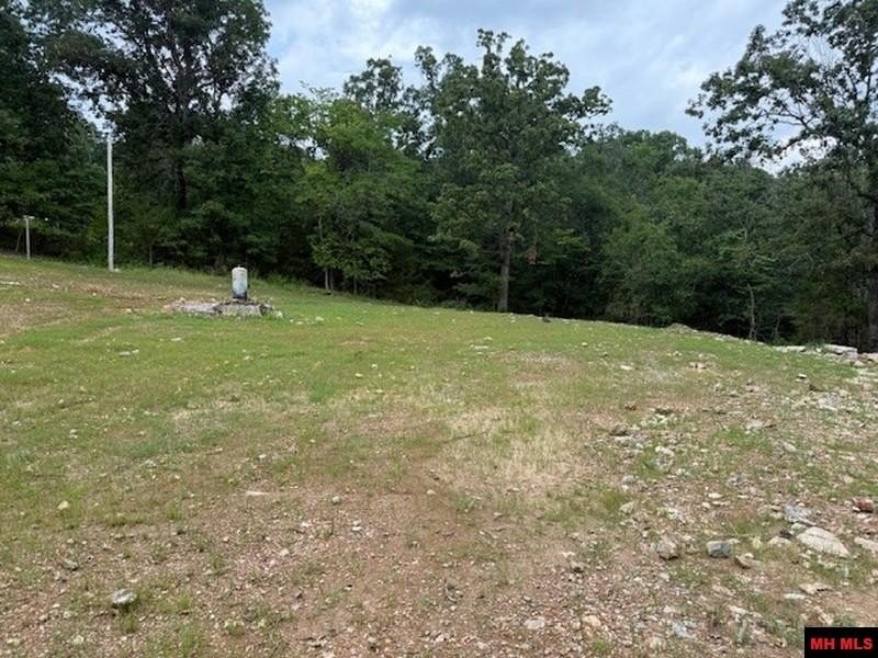Picture 17