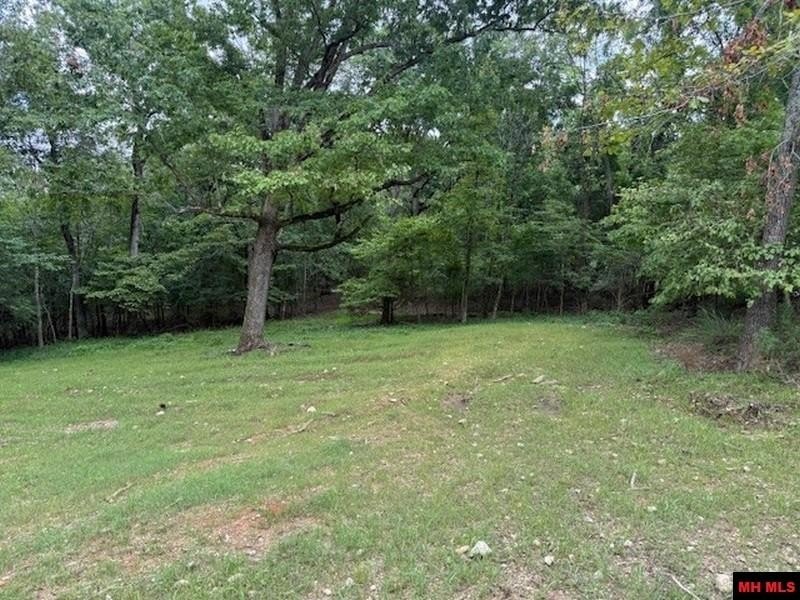 Picture 15