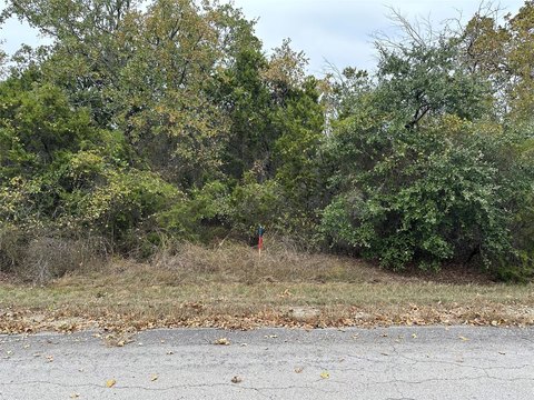 Residential Lot in White Bluff Community