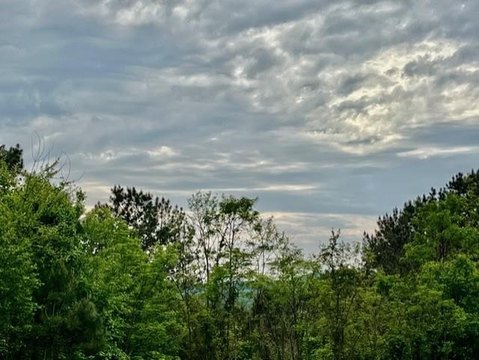 Ellijay Vacant Lot in Gated Community