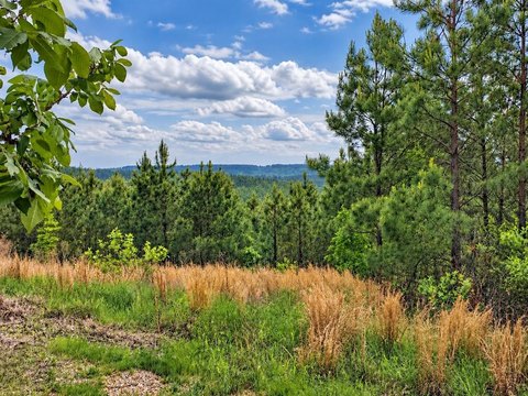 Land, Broken Bow, OK