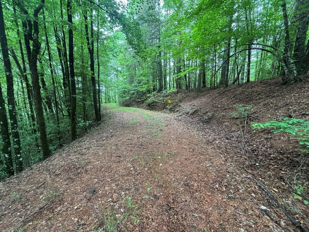 Picture 3