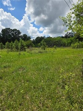 Vacant Land, Bush, LA