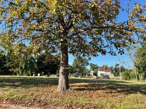 Residential Land Infill Opportunity