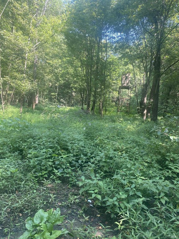 Picture 36
