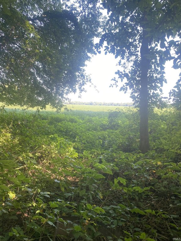 Picture 18