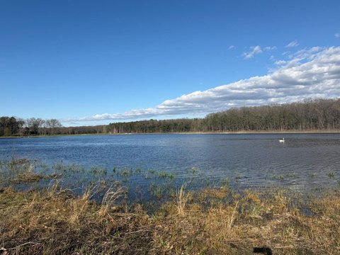 Private Wooded Land on Carr Lake