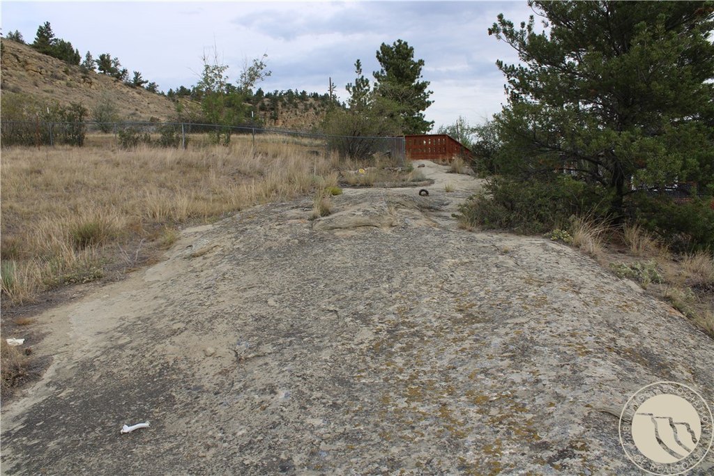 Picture 3