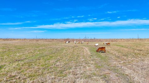 Serene 5-Acre Land in Corsicana