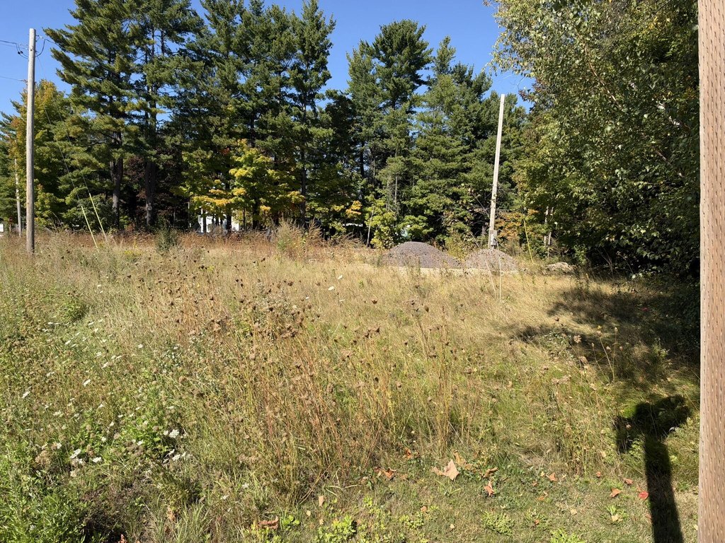 Picture 14