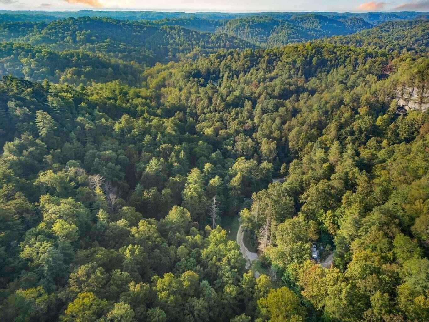 Land Near Red River Gorge