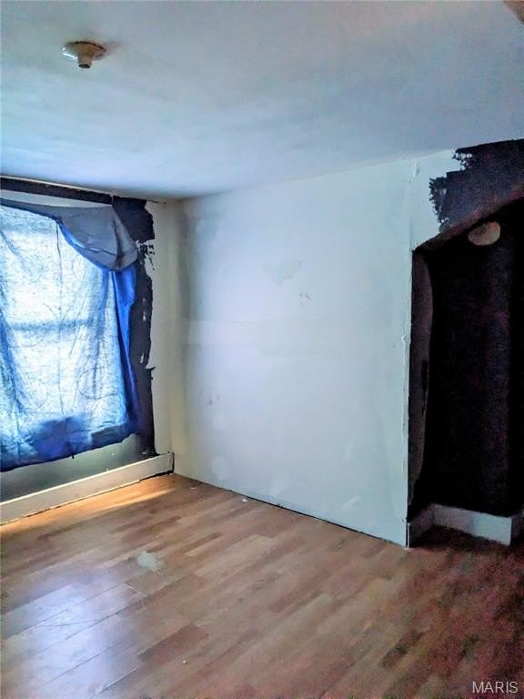 Picture 21