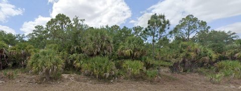 Land, PORT CHARLOTTE, FL