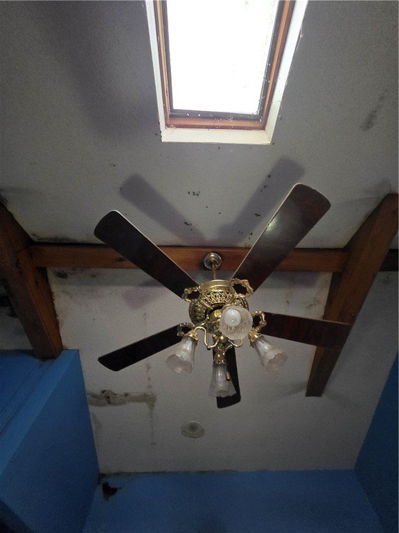 Picture 11